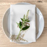 Gold Pesach Cloth Napkins I Set of 4